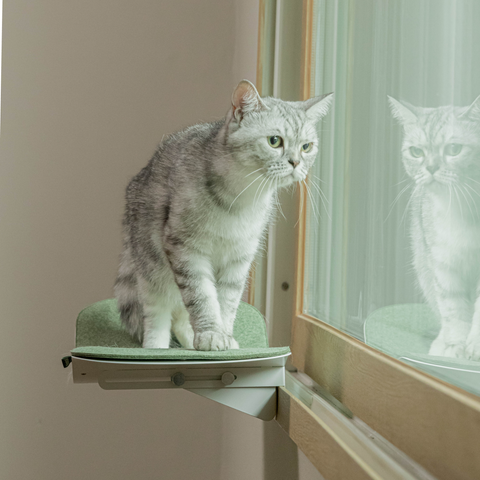 Cat wave window seat