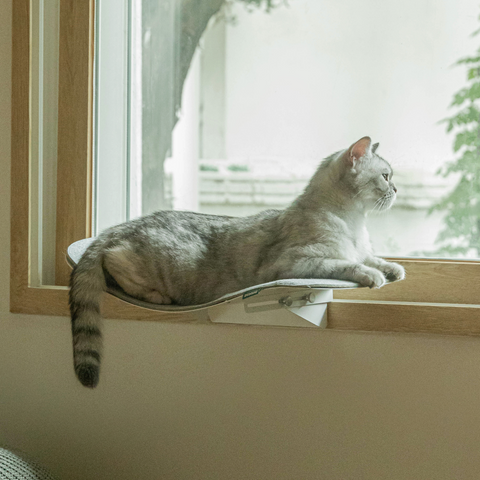 Cat wave window seat