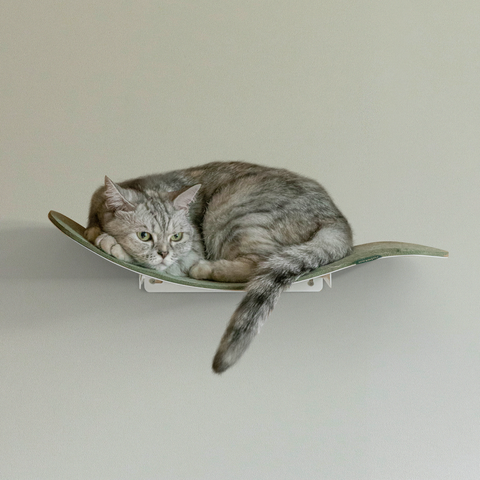 Cat wave window seat