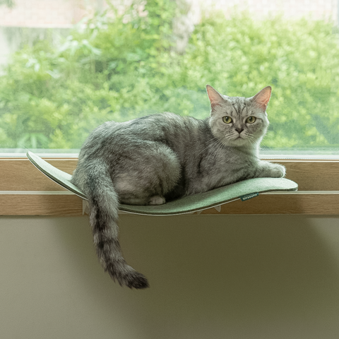 Cat wave window seat