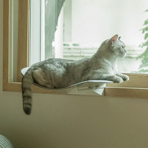 Cat wave window seat