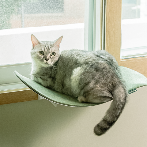 Cat wave window seat