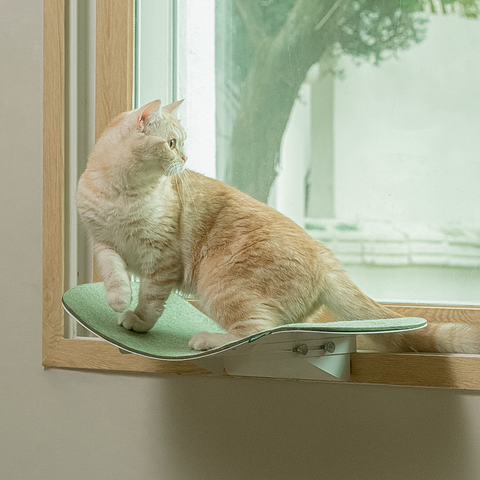 Cat wave window seat
