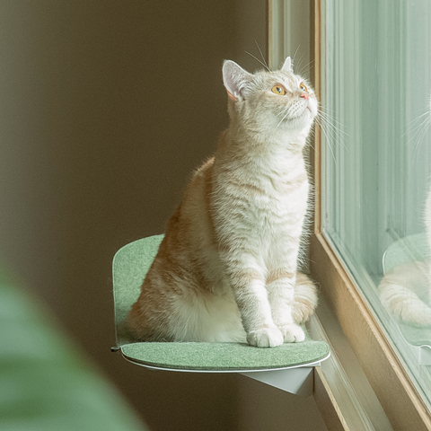 Cat wave window seat