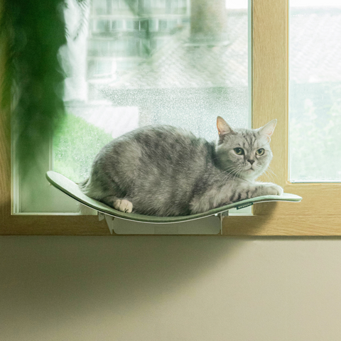 Cat wave window seat