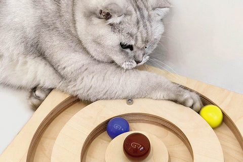 Wooden Turntable med keramisk ball