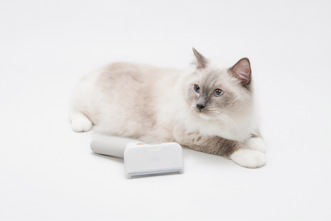 Steering Comb kattebørste