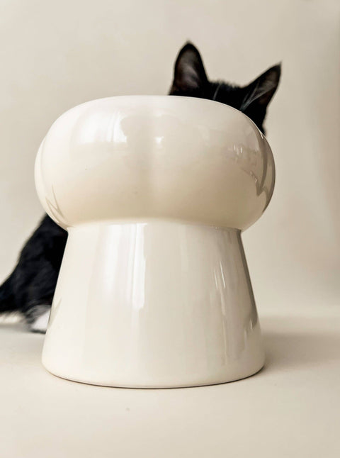Elevated Bowl