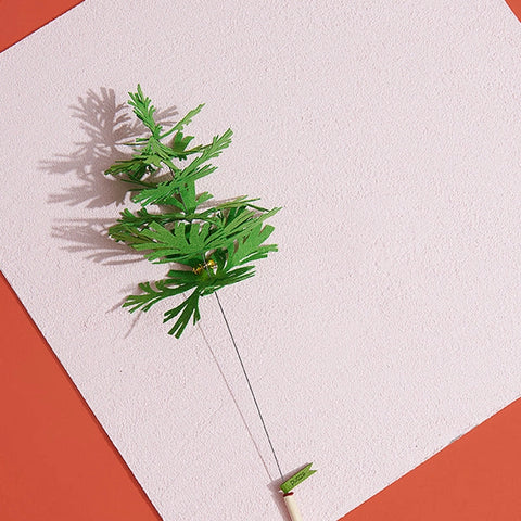 Green Umbrella Pine viftepinne