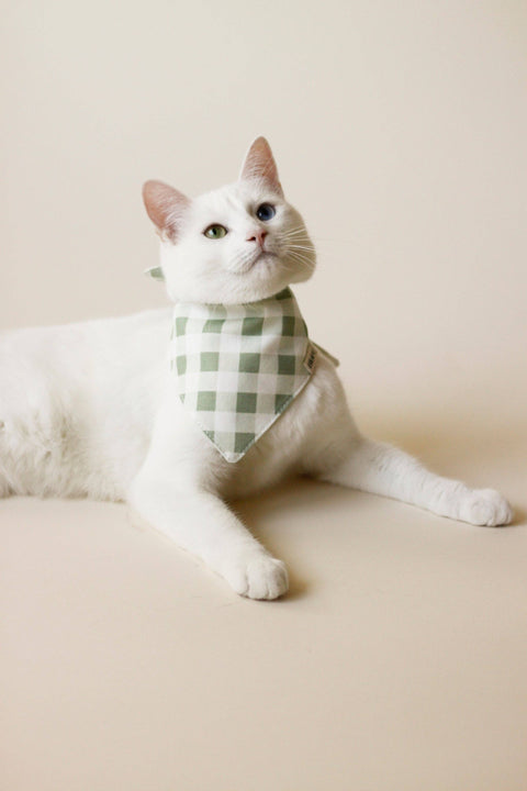 Pastel Vichy bandana