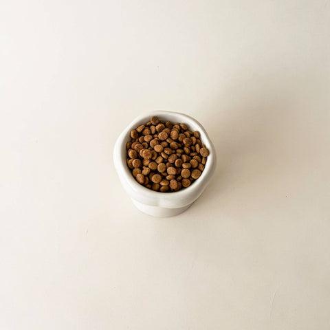 Elevated Bowl