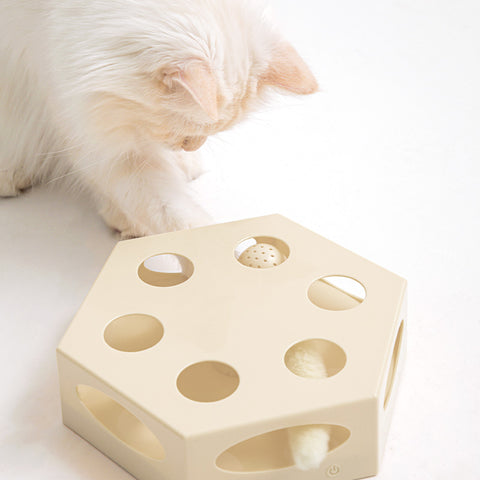 Cats cake interaktiv katteleke