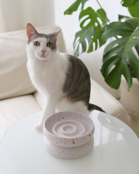 Halo Tempo Slow Feeder