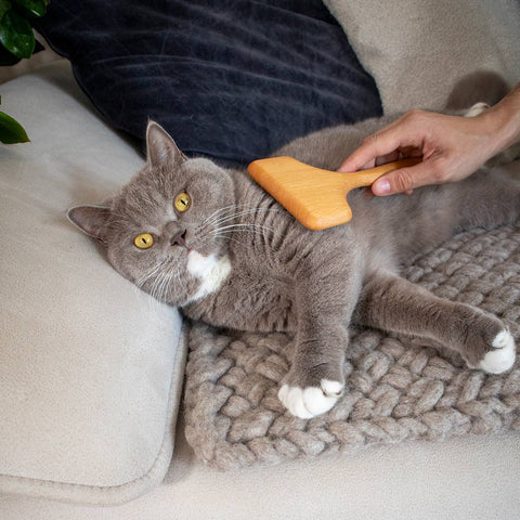 Hairy kattebørste