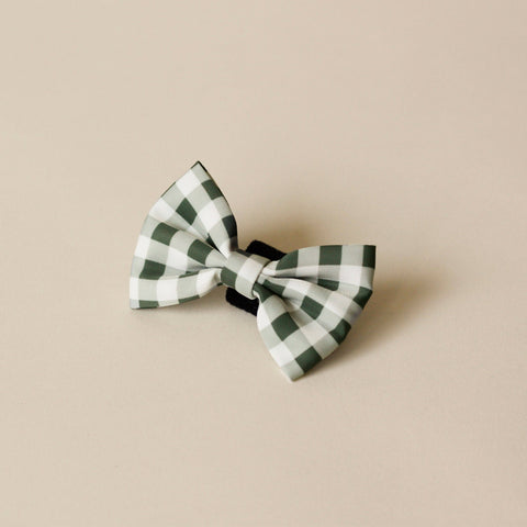 Bowtie clip on
