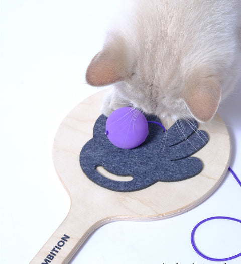 Ping Pong interaktiv katteleke