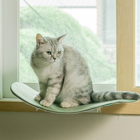 Cat wave window seat