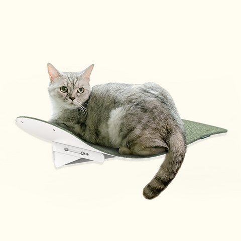 Cat wave window seat