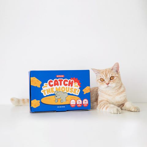 Catch the mouse interaktiv katteleke