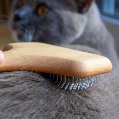 Hairy kattebørste