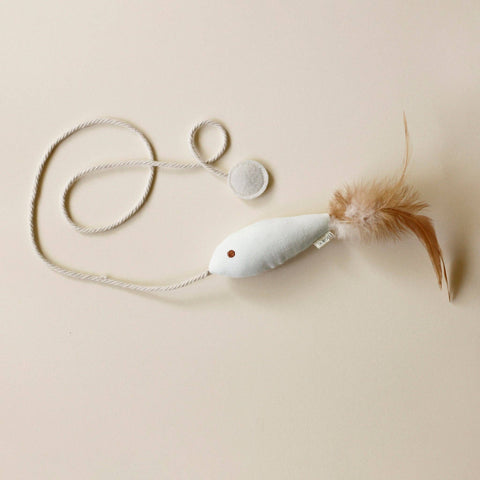 Gold Fish katteleke