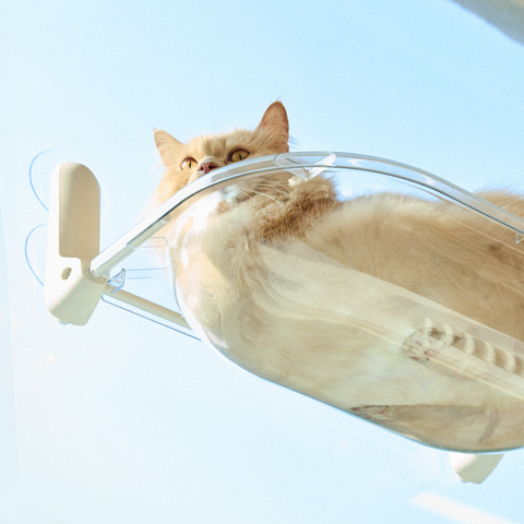 Window Cat Tower Clear - vindusseng