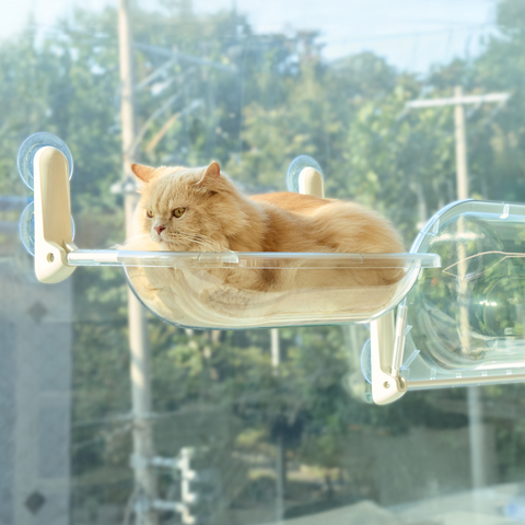 Window Cat Clear - vindusseng