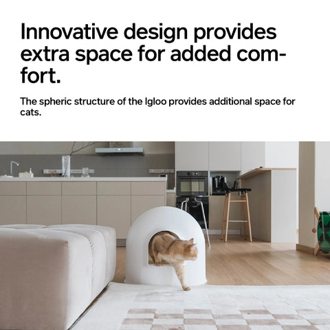 Igloo kattedo
