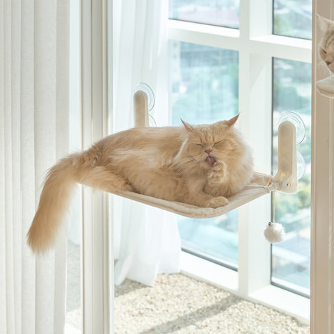Window Cat vindusseng
