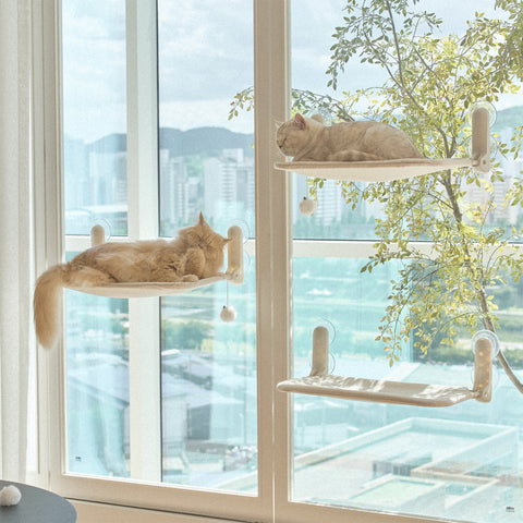 Window Cat vindusseng
