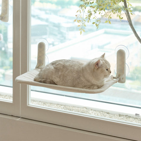 Window Cat vindusseng